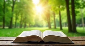 Wirtschaftliche Aspekte der Verantwortung (7/10)